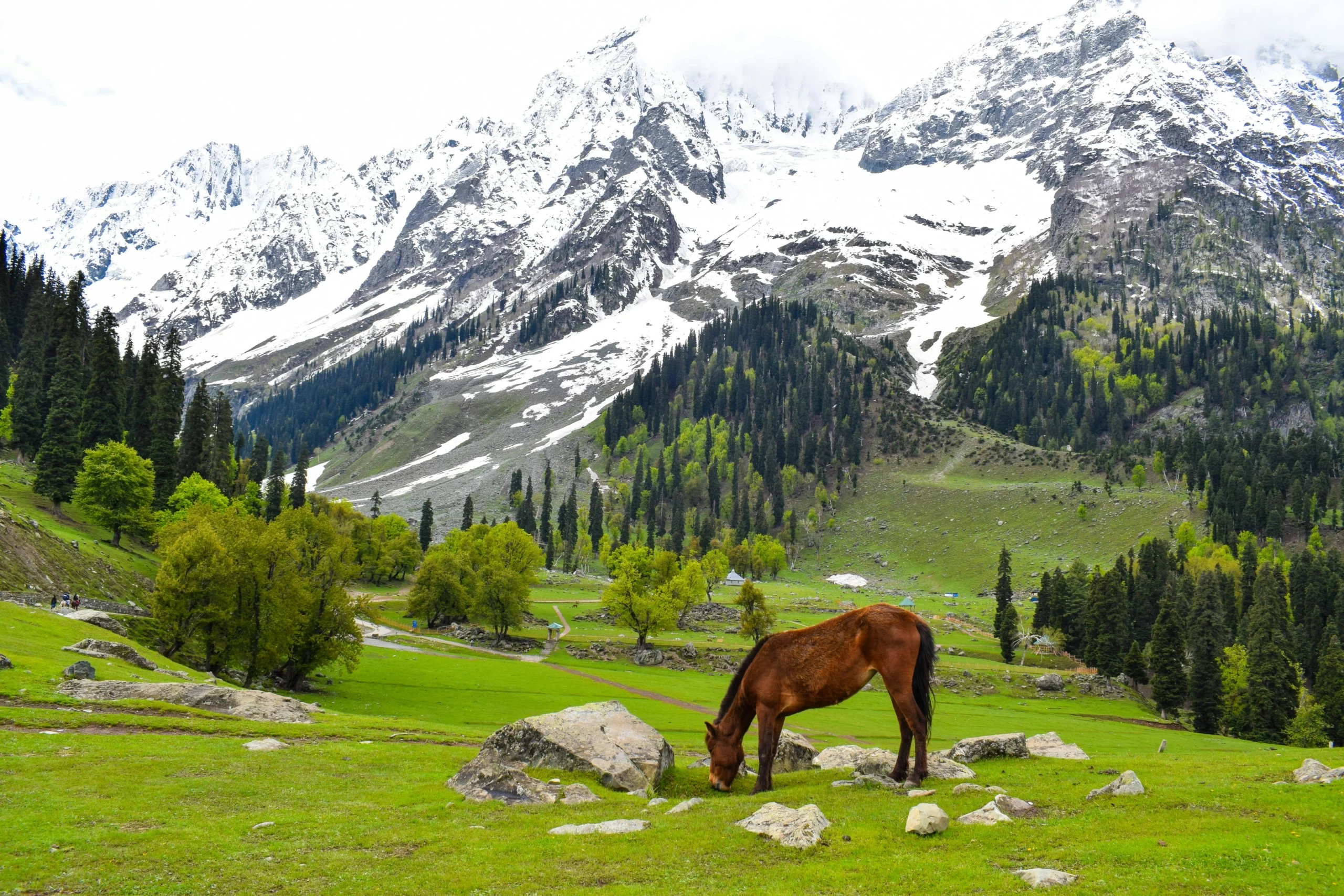 1737461701travelling-to-Sonmarg-kashmir-scaled.webp