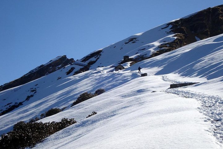 Chopta-Tunganath.jpg